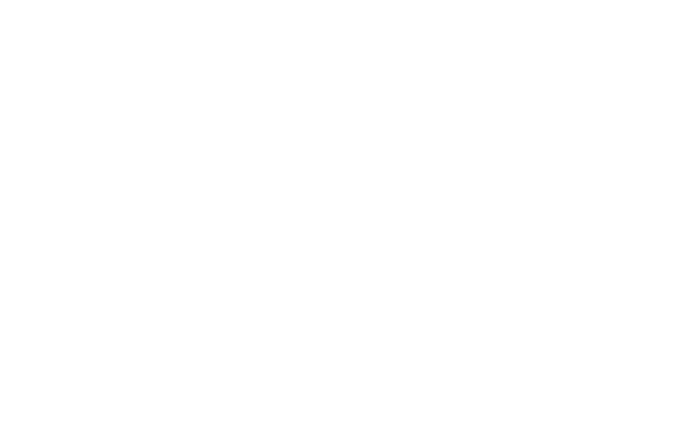 Patron